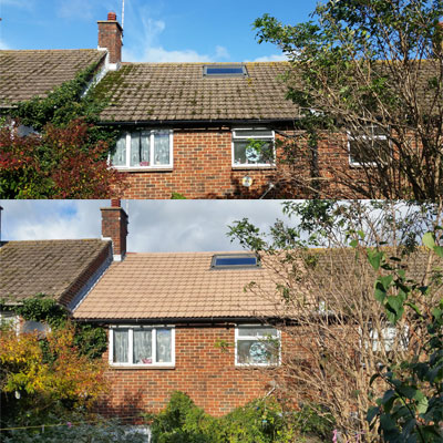 roof moss removal